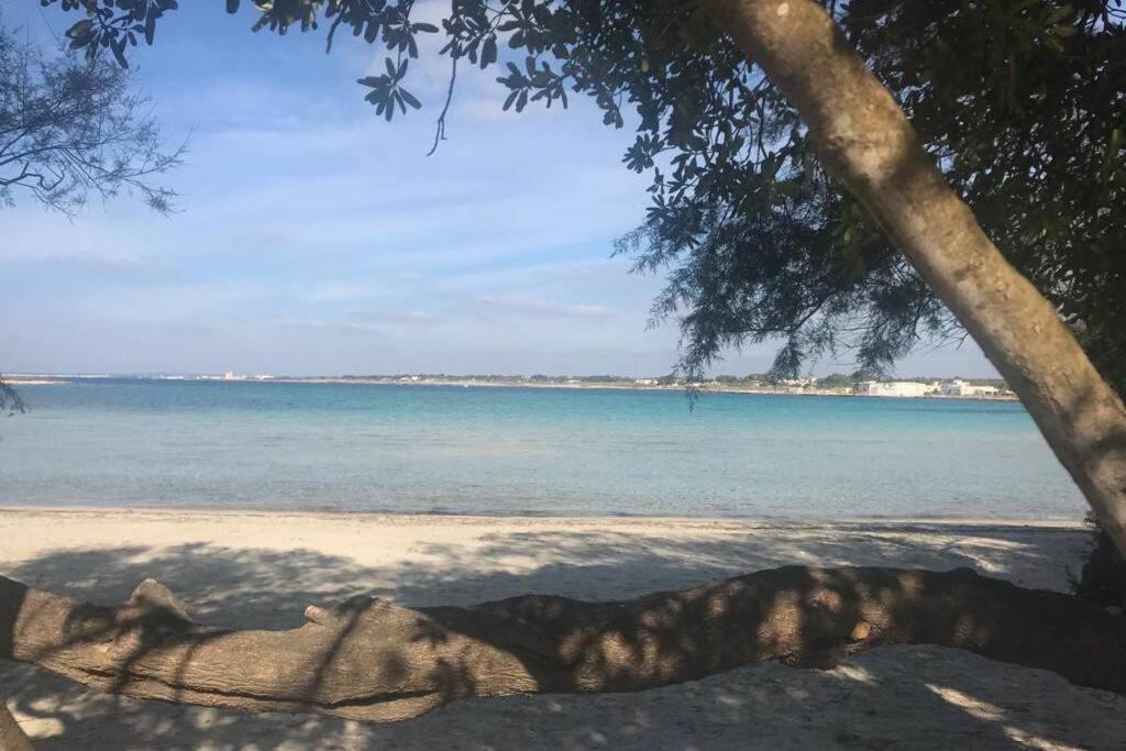 "Luminaria" Casa Nuova In Salento Fronte Mare!!! Villa Sant Isidoro  Eksteriør billede